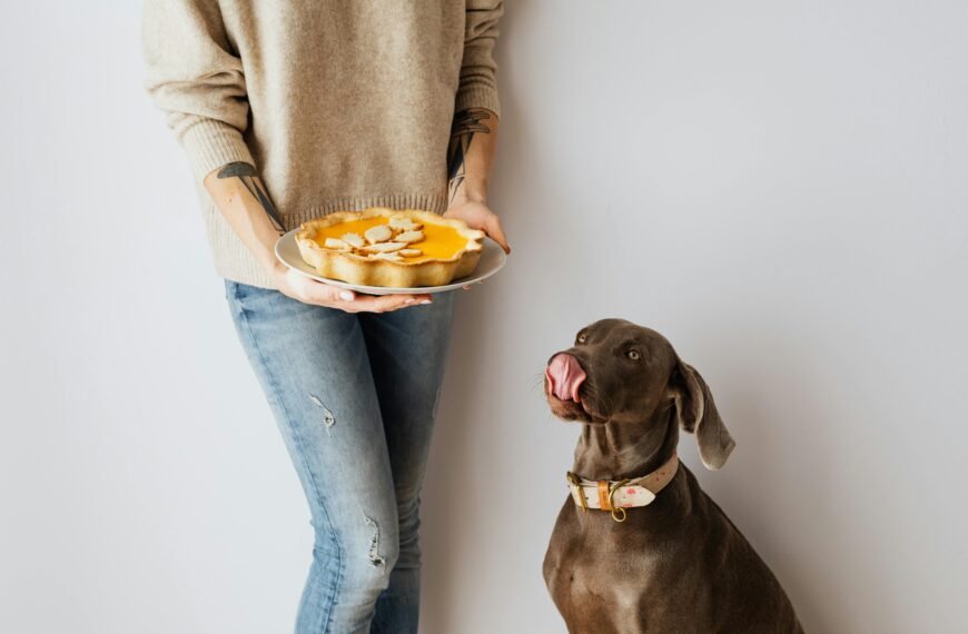 A woman in casual attire holding a pumpkin pie, while a dog looks longingly at it indoors.